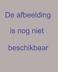 1975-986-41 Topografische kaart van Nederland blad 41: Gelderland met Aalten en omgeving en Duitsland