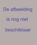 1992-3217 Kaart van de Ambachtsheerlijkheid Cromstrijen, het Hollands Diep en Willemstad. Voorstelling: zuid boven; van ...