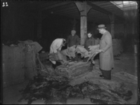 1976-5061 Interieur firma Kaufmann's huidenhandel aan de Westzeedijk.