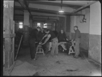1976-5063 Interieur firma Kaufmann's huidenhandel aan de Westzeedijk.
