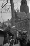 21896-6-34 Kabouters met oranjekleurige puntmutsen bevestigen het certificaat Beschermde boom aan een plataan op de ...