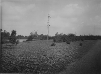 IX-1633 Gezicht in de Kralinger Hout, aan het Kralingse Bos.