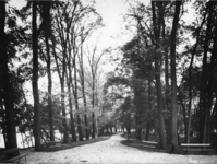 IX-2476 Het Park Rozenburg.
