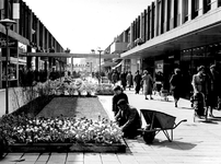 XIV-453-00-32 Gezicht in de Korte Lijnbaan.